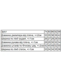 Костюмы Носи своє модель 5063-057-33-4-bryuzovij-nefrit-ltachok Фото