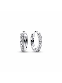 Серьги-кольца PANDORA модель 293015C01 Фото