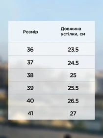 Сліпони та мокасини Arber модель W30.15.00.411 Фото