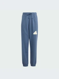 Брюки Adidas Культовые силуэты модель IS4395 Фото