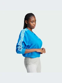 Худі та світшоти Adidas Adicolor модель IR5523 Фото