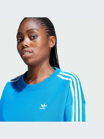 Худі та світшоти Adidas Adicolor модель IR5523 Фото