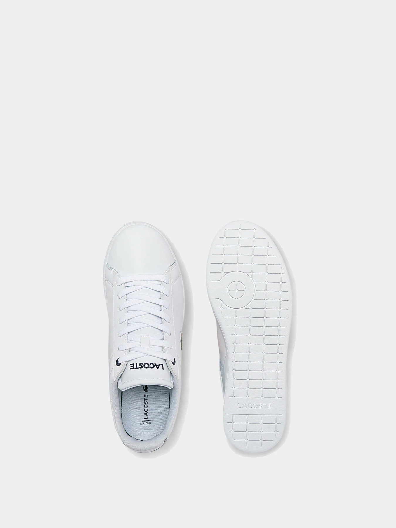 Кеды Lacoste Carnaby Evo модель 741SMA0002042 Кеды Lacoste Carnaby Evo модель 741SMA0002042 Фото
