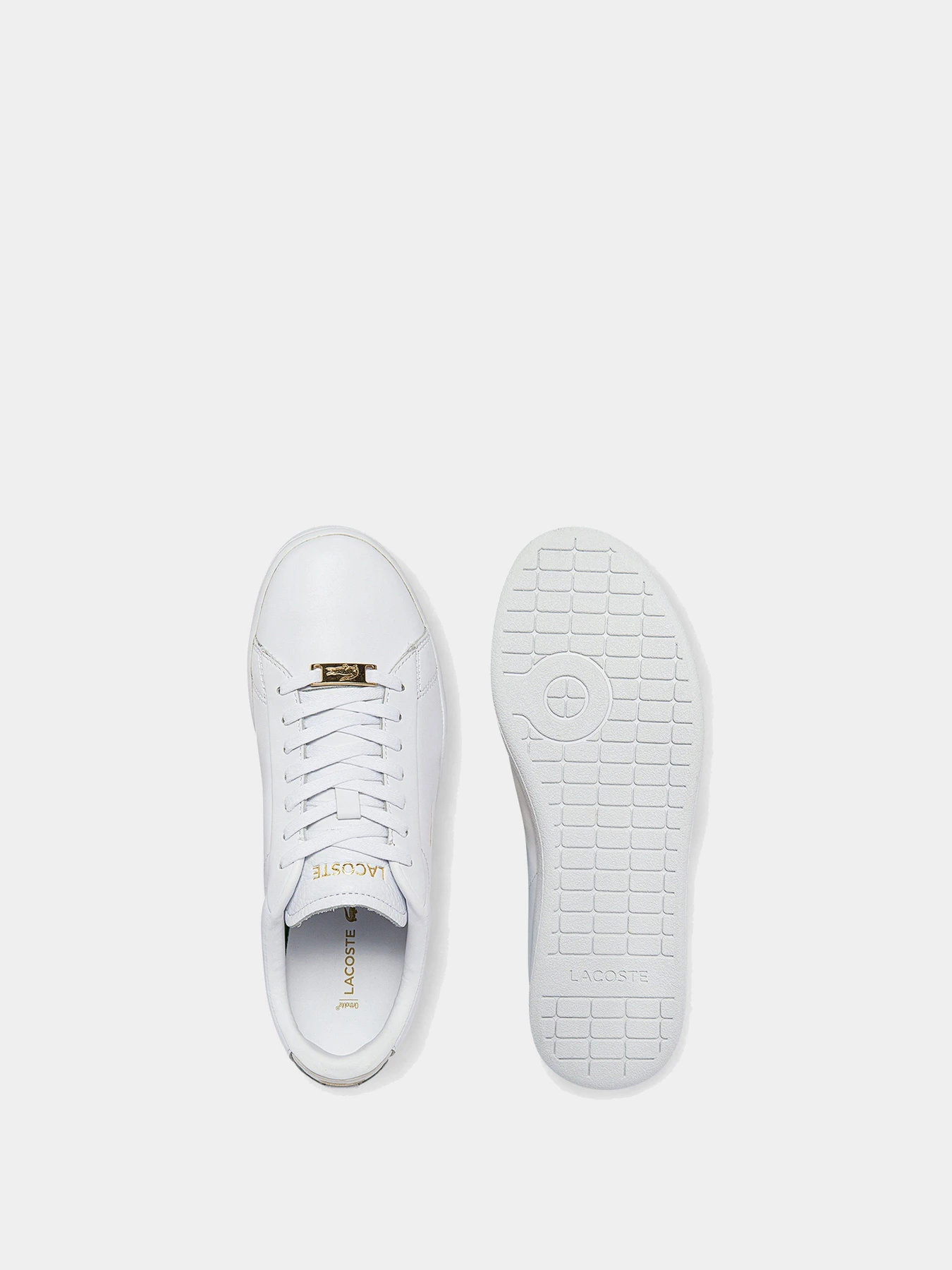 Кеды Lacoste Carnaby модель 743SFA0016216 Кеды Lacoste Carnaby модель 743SFA0016216 Фото