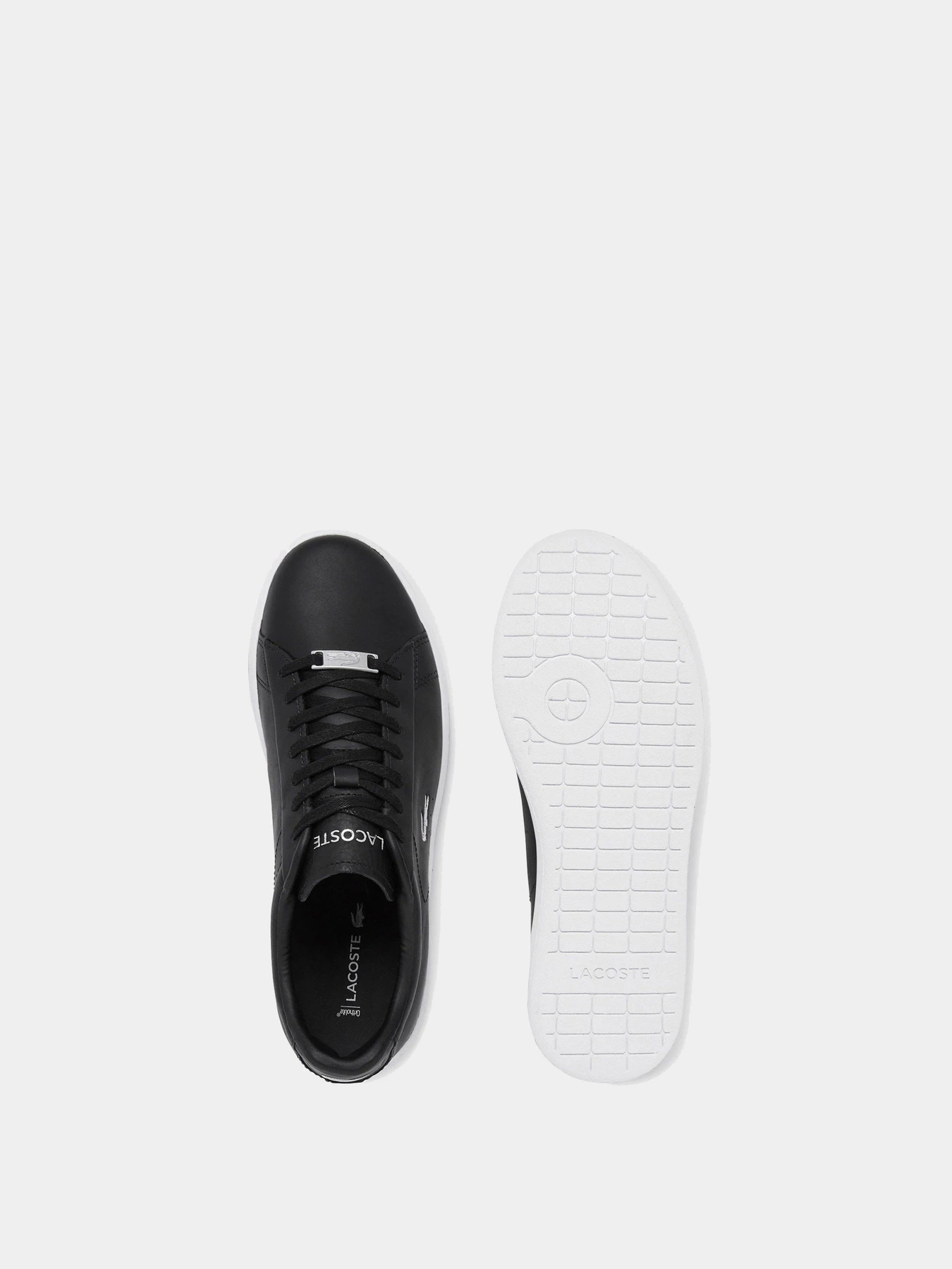 Кеды Lacoste Carnaby модель 743SFA001622F Кеды Lacoste Carnaby модель 743SFA001622F Фото
