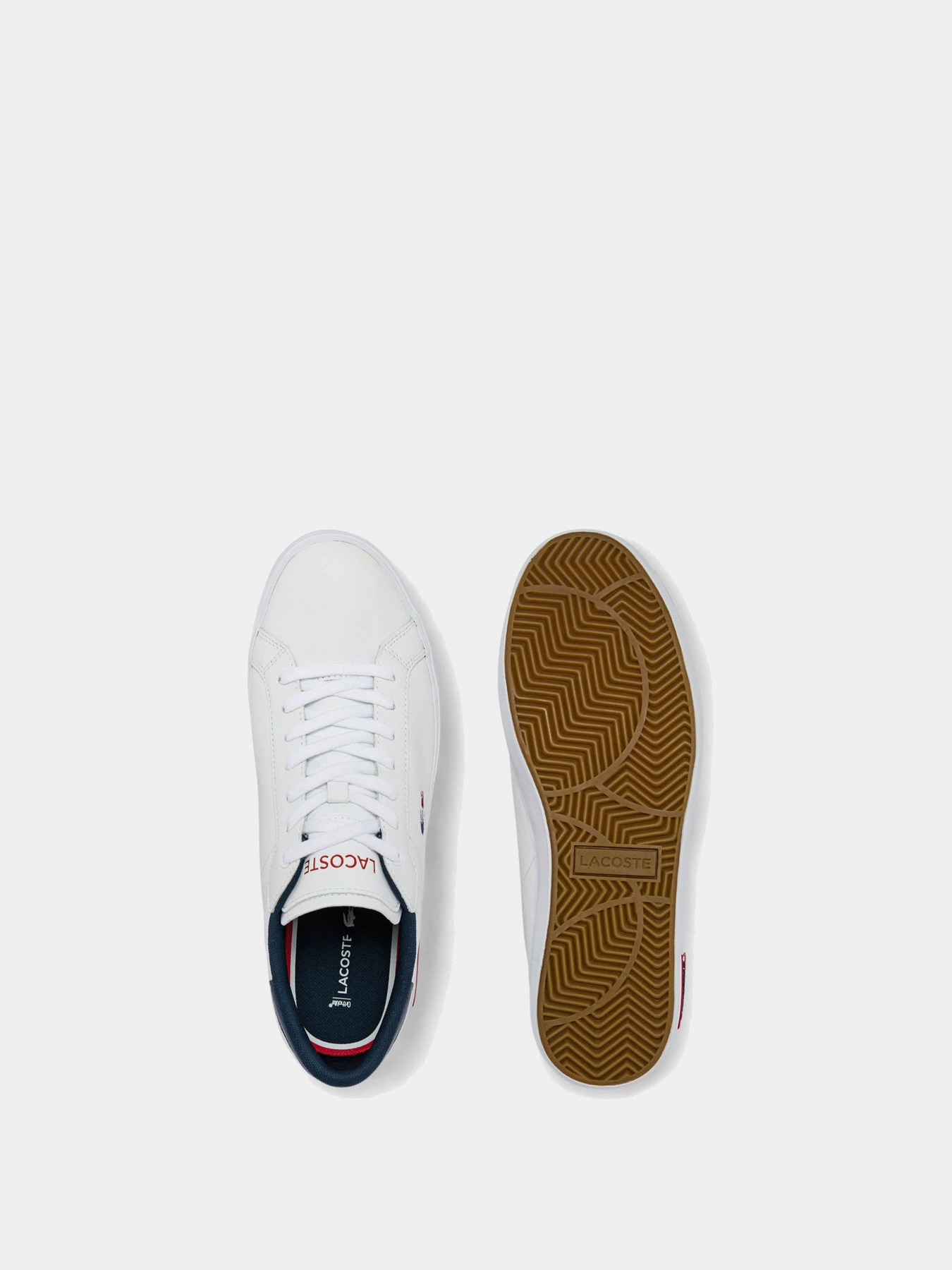 Кеды Lacoste Powercourt модель 743SMA0034407 Кеды Lacoste Powercourt модель 743SMA0034407 Фото