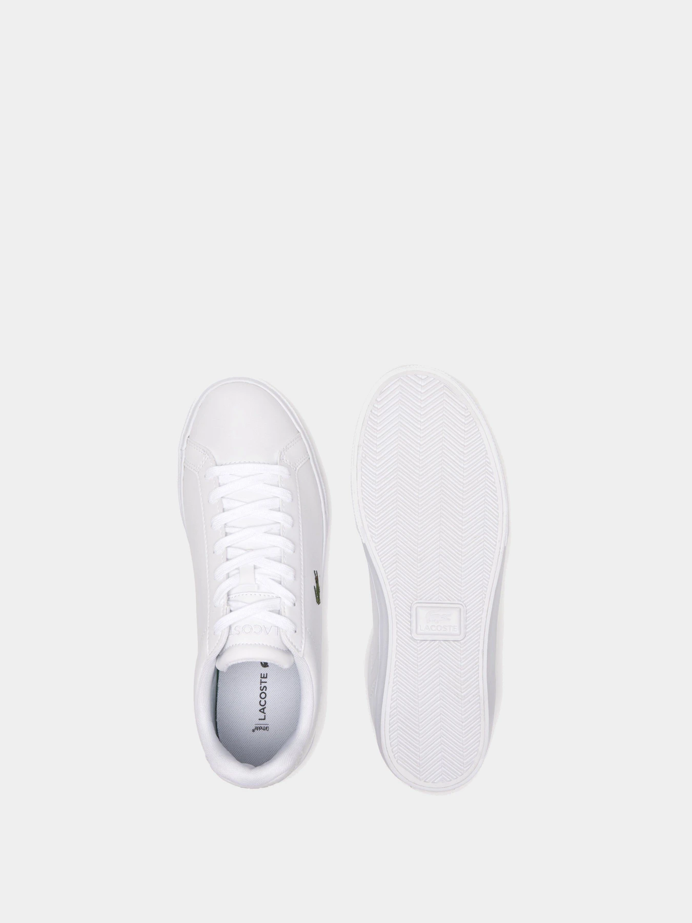 Кеды Lacoste Lerond Pro модель 745CMA010021G Кеды Lacoste Lerond Pro модель 745CMA010021G Фото