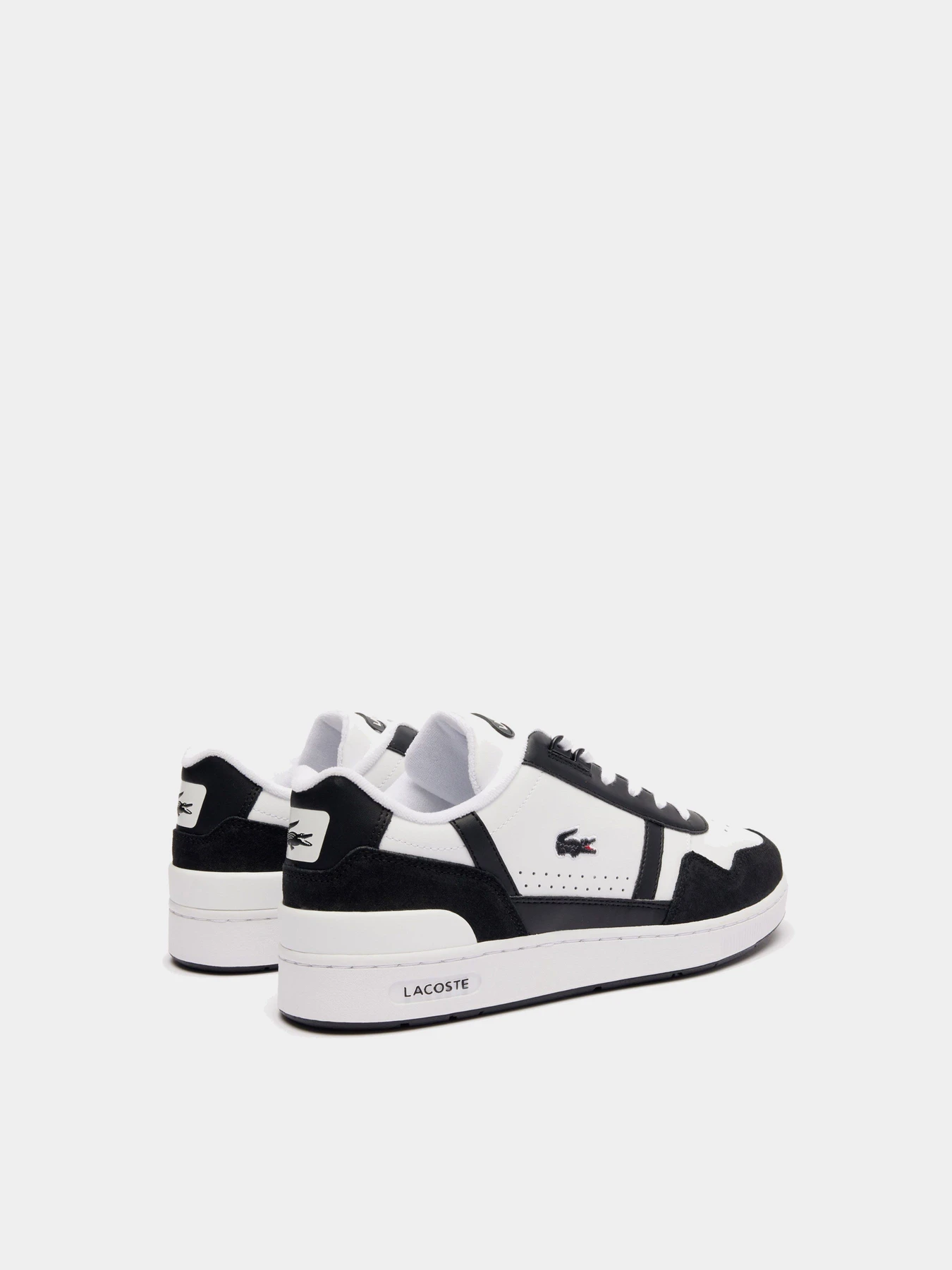 Кроссовки Lacoste T-Clip модель 747SMA0073147 Кроссовки Lacoste T-Clip модель 747SMA0073147 Фото