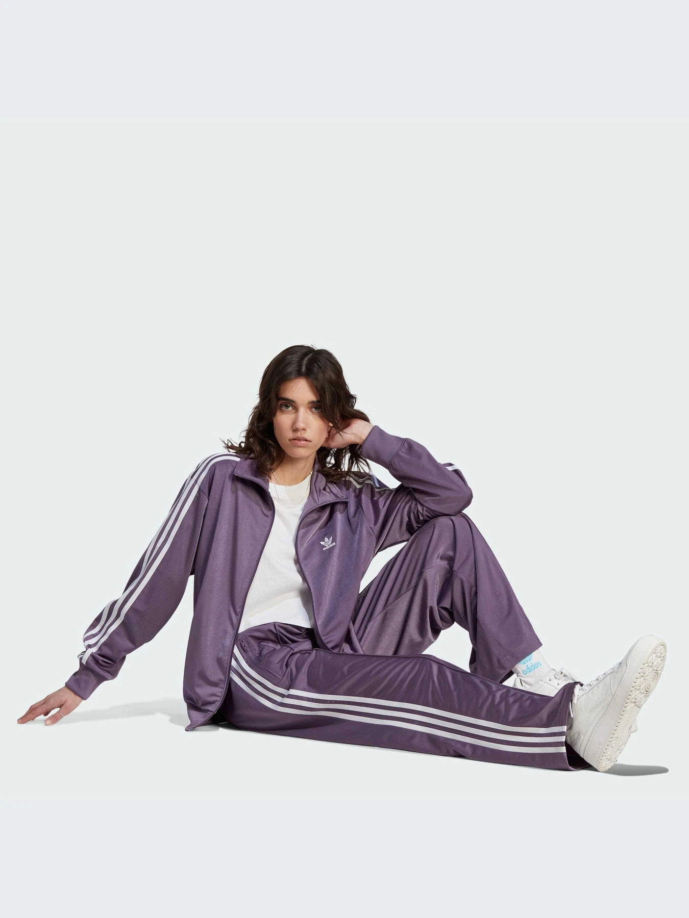Брюки Adidas Adicolor модель IK3860 Фото