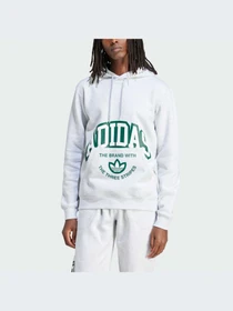 Худи и свитшоты Adidas Graphics модель IS2928 Фото