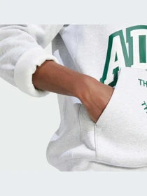 Худи и свитшоты Adidas Graphics модель IS2928 Фото