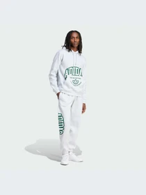 Худи и свитшоты Adidas Graphics модель IS2928 Фото
