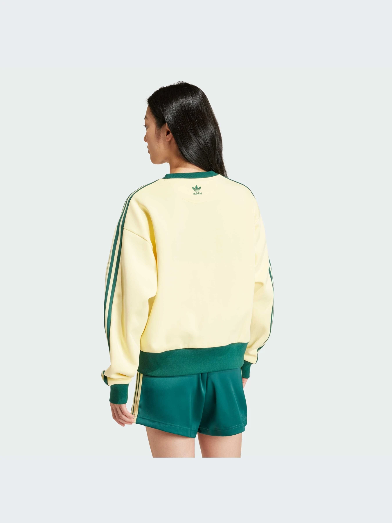 Худі та світшоти Adidas Graphics модель IS0373 Фото