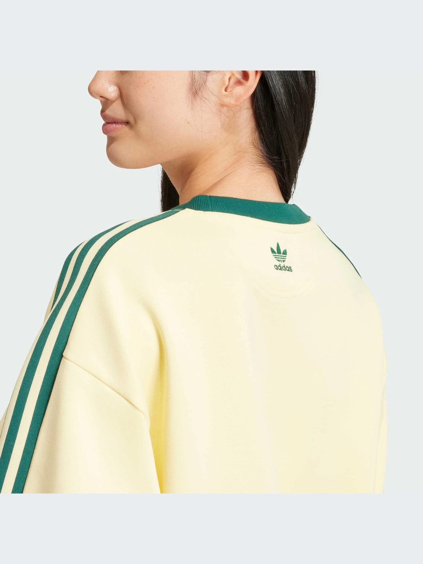 Худі та світшоти Adidas Graphics модель IS0373 Фото