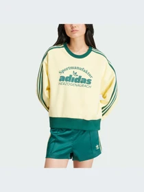 Худі та світшоти Adidas Graphics модель IS0373 Фото