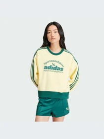 Худі та світшоти Adidas Graphics модель IS0373 Фото