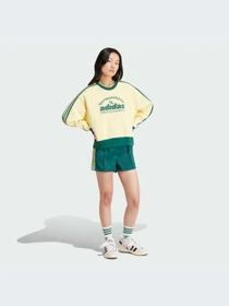 Худі та світшоти Adidas Graphics модель IS0373 Фото