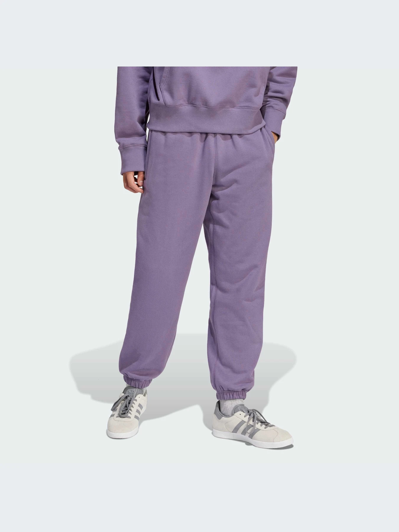 Брюки Adidas Adicolor модель IR7890 Фото