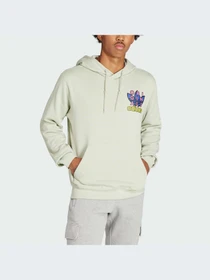 Худи и свитшоты Adidas Graphics модель IM9681 Фото