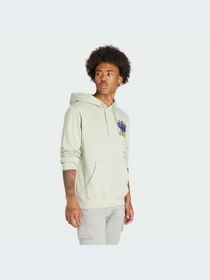 Худи и свитшоты Adidas Graphics модель IM9681 Фото