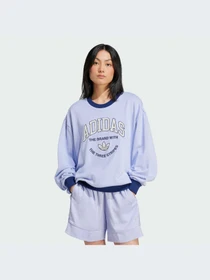 Худі та світшоти Adidas Graphics модель IT4271 Фото