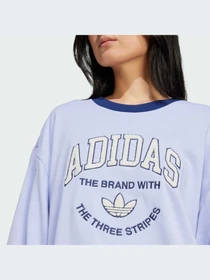 Худі та світшоти Adidas Graphics модель IT4271 Фото