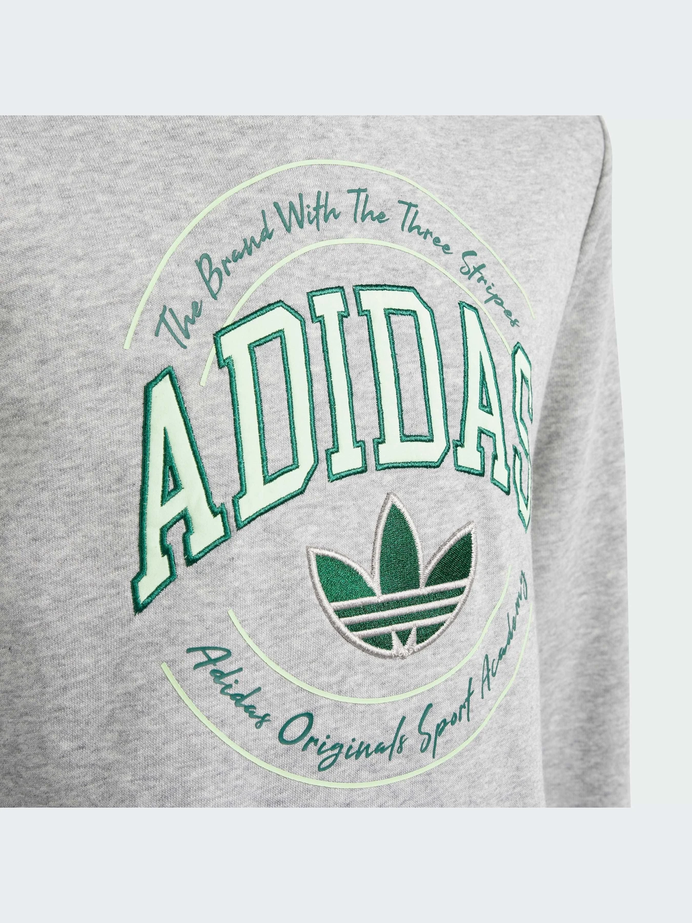 Худи и свитшоты Adidas Graphics модель IR9620 Фото