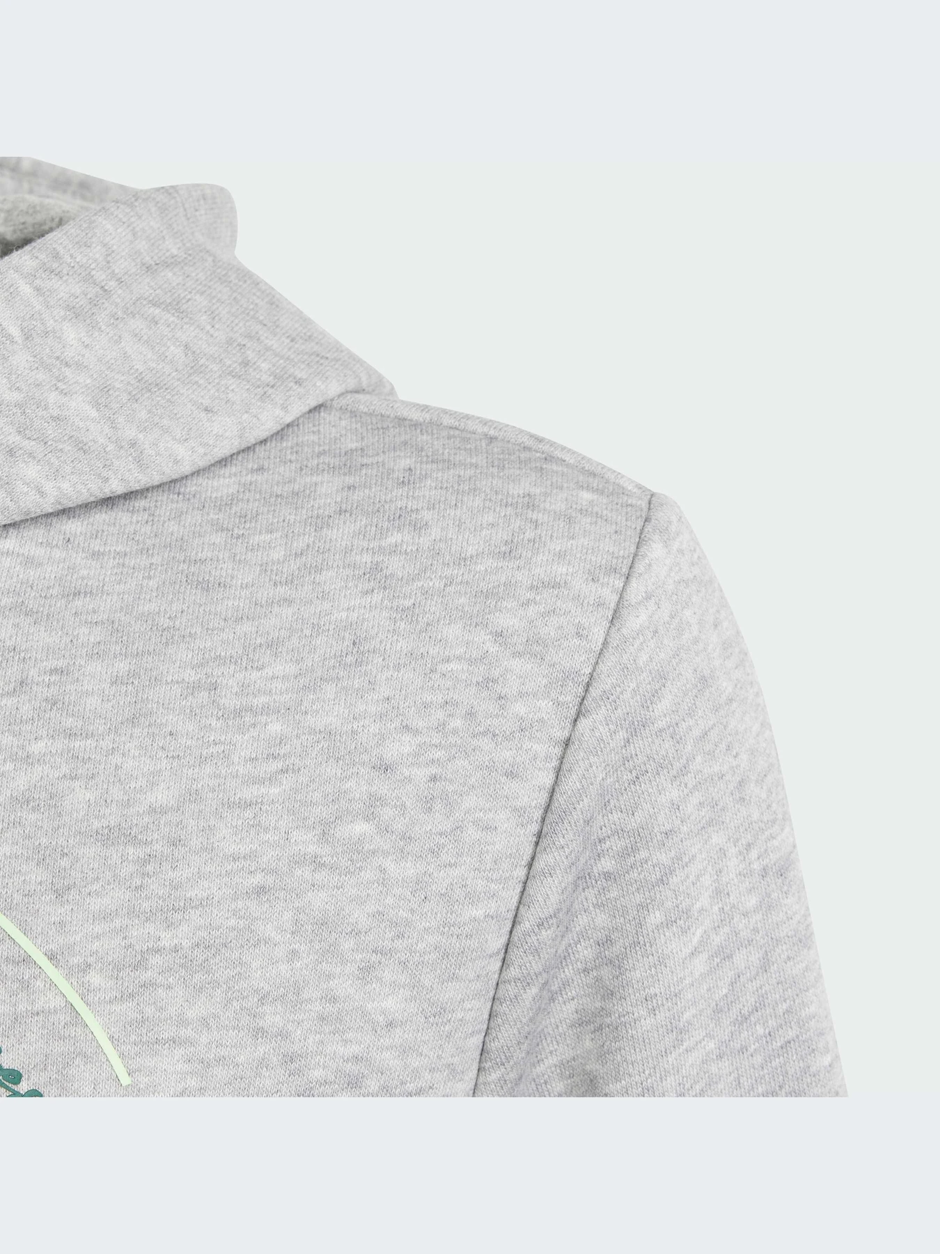 Худи и свитшоты Adidas Graphics модель IR9620 Фото