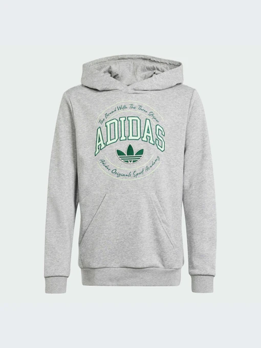 Худі та світшоти Adidas Graphics модель IR9620 Фото