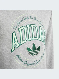 Худи и свитшоты Adidas Graphics модель IR9620 Фото