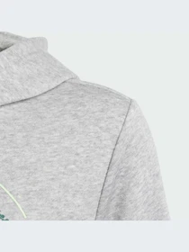 Худи и свитшоты Adidas Graphics модель IR9620 Фото