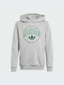 Худи и свитшоты Adidas Graphics модель IR9620 Фото
