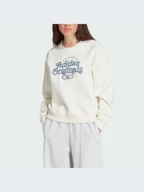 Худи и свитшоты Adidas Graphics модель IR7474 Фото
