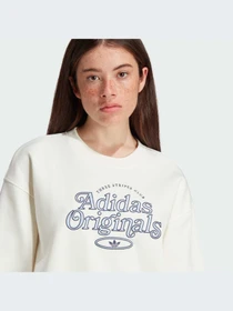 Худи и свитшоты Adidas Graphics модель IR7474 Фото
