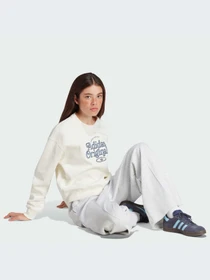 Худи и свитшоты Adidas Graphics модель IR7474 Фото