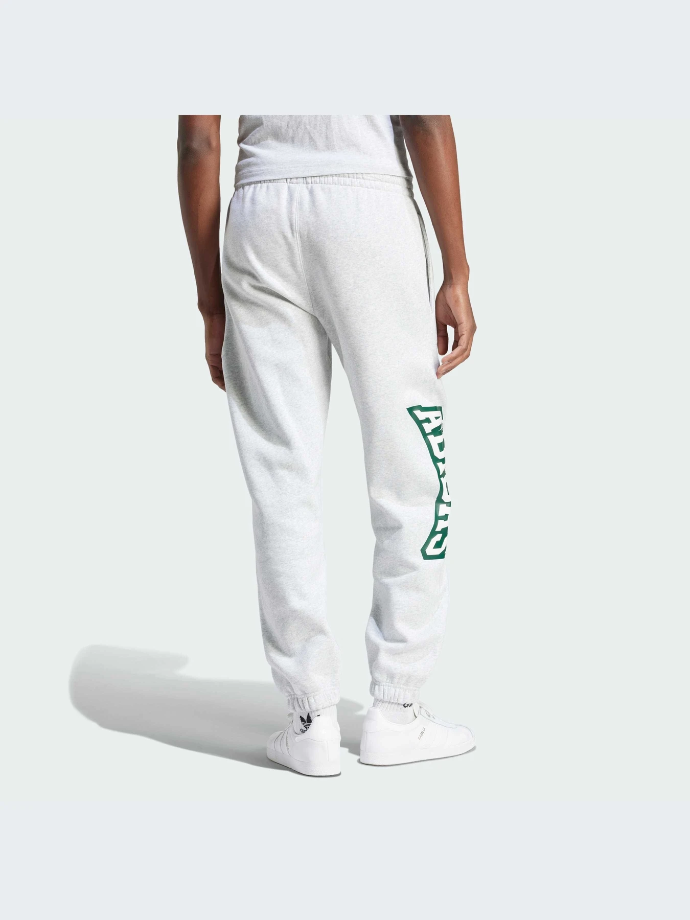 Брюки Adidas Graphics модель IS2900 Фото
