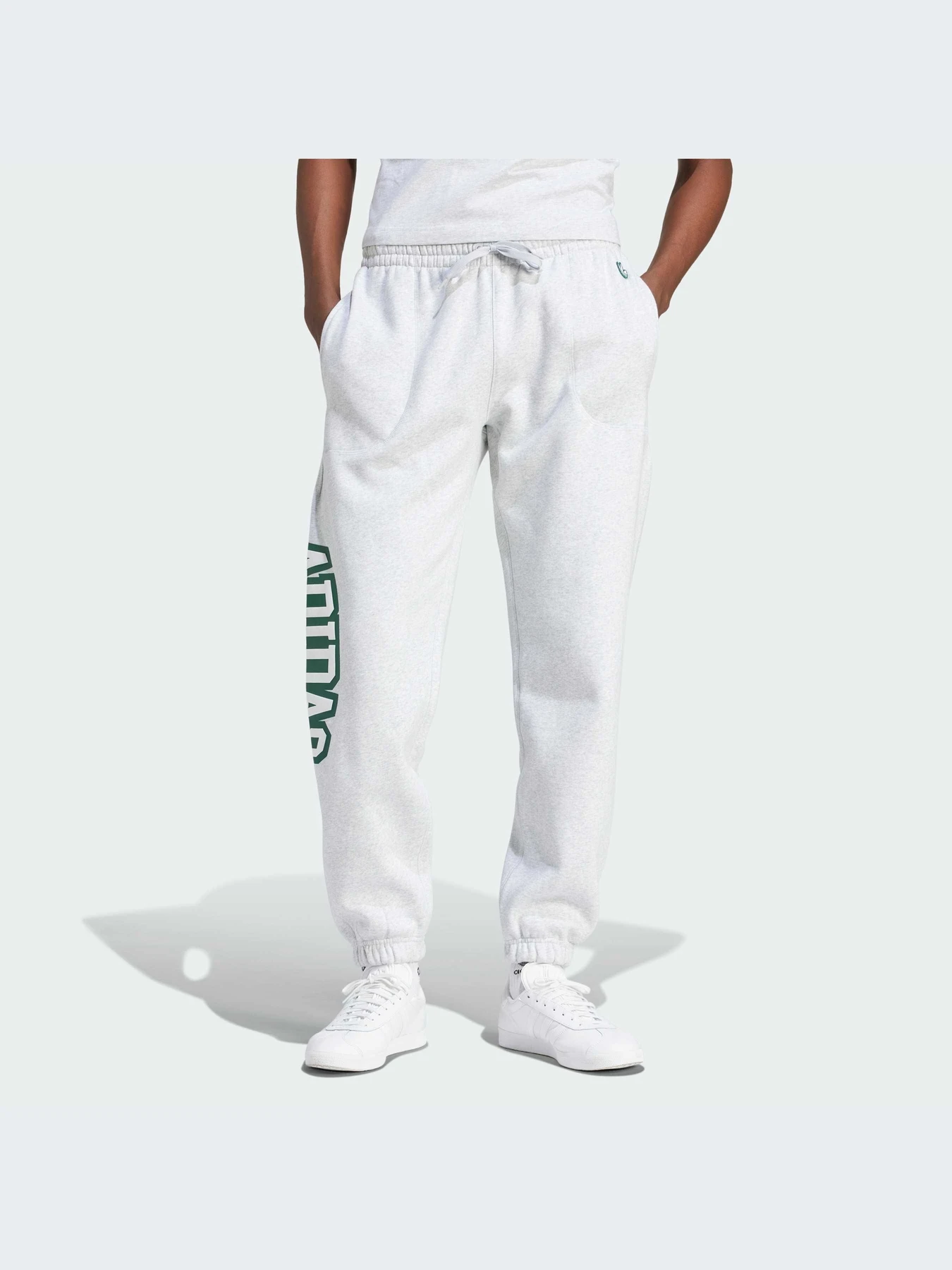 Брюки Adidas Graphics модель IS2900 Фото