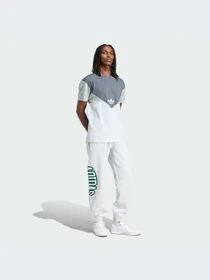 Брюки Adidas Graphics модель IS2900 Фото