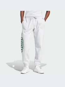 Брюки Adidas Graphics модель IS2900 Фото