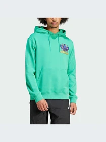 Худи и свитшоты Adidas Graphics модель IM9685 Фото