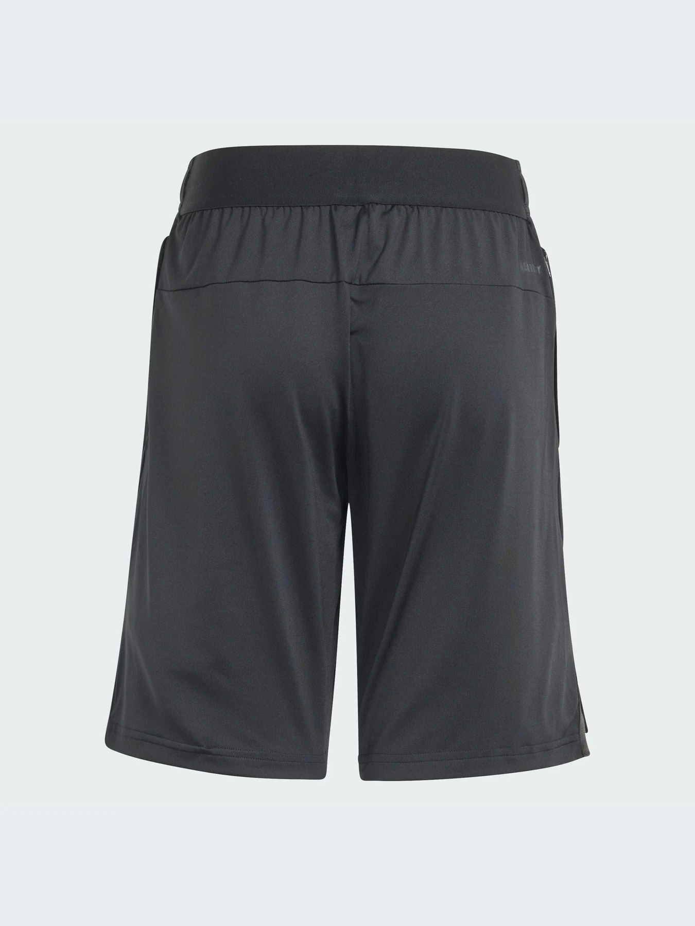 Шорты Adidas модель IN1662 Шорты Adidas модель IN1662 Фото
