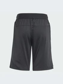Шорты Adidas модель IN1662 Фото