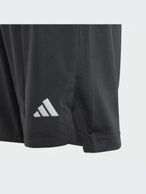 Шорты Adidas модель IN1662 Фото