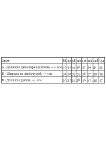 Худі та світшоти Носи своє модель 6069-055-5-sova-rozhevij Фото