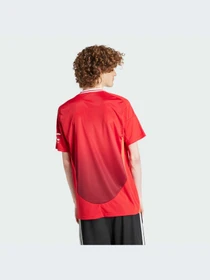 Футболки и поло Adidas модель IU1397 Фото