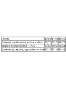 Футболки и поло Носи своє модель 001-33-8011-of-chornij-stay-strong Фото