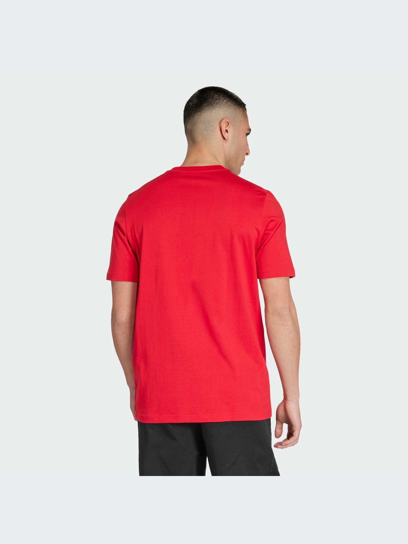 Футболки і поло Adidas модель IS6524 Футболки і поло Adidas модель IS6524 Фото