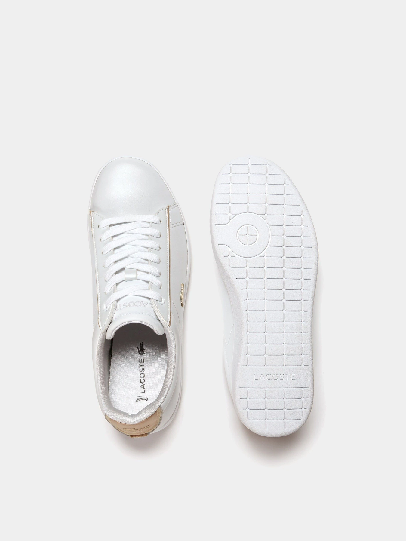 Кеды Lacoste Carnaby Evo модель 735SPW0013216 Кеды Lacoste Carnaby Evo модель 735SPW0013216 Фото