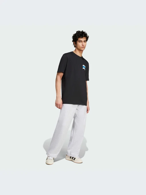 Футболки і поло Adidas Graphics модель IZ2580 Фото
