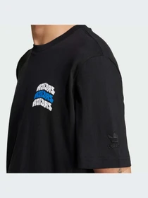 Футболки і поло Adidas Graphics модель IZ2580 Фото